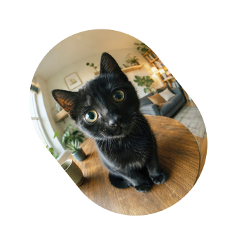 About Amy's Home Services